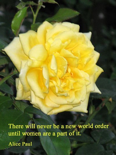 Frauentag - ein Foto mit einer gelben Rose